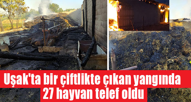 Uşak'ta bir çiftlikte çıkan yangında 27 hayvan telef oldu