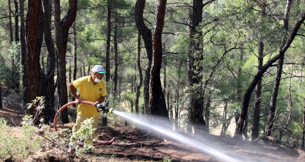 Uşak'taki orman yangını kontrol altına alındı