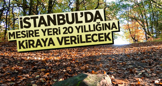 İstanbul'da mesire yeri 20 yıllığına kiraya verilecek