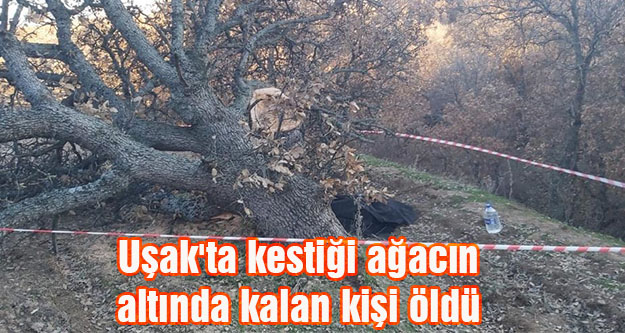 Uşak'ta kestiği ağacın altında kalan kişi öldü
